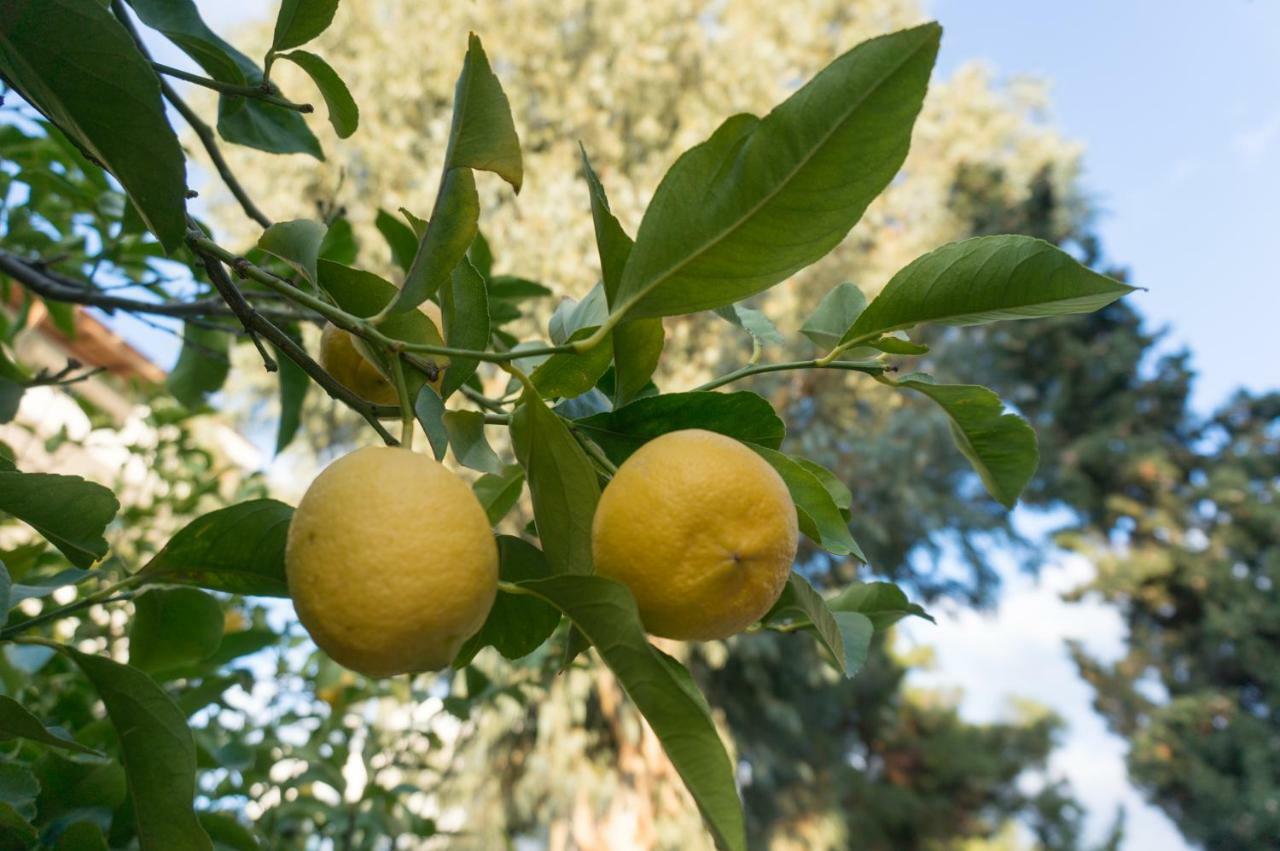 Glyfada Central מראה חיצוני תמונה